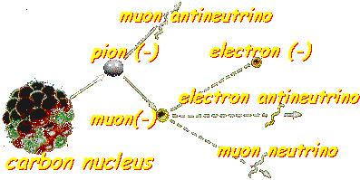 pion creation ,pion decay, muon decay (from TRIUMF)